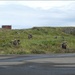 Arctic Angels deploy to Aleutian Islands