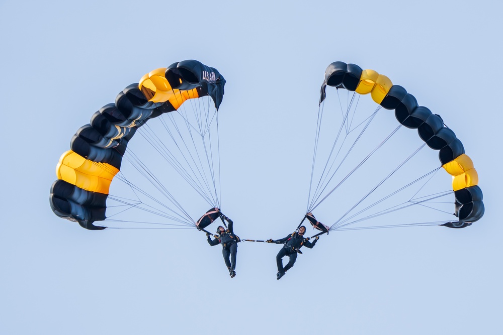 Army Golden Knights fly at Airshow London to celebrate 100 years of Royal Canadian Air Force