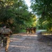 SERE selection shelter set up