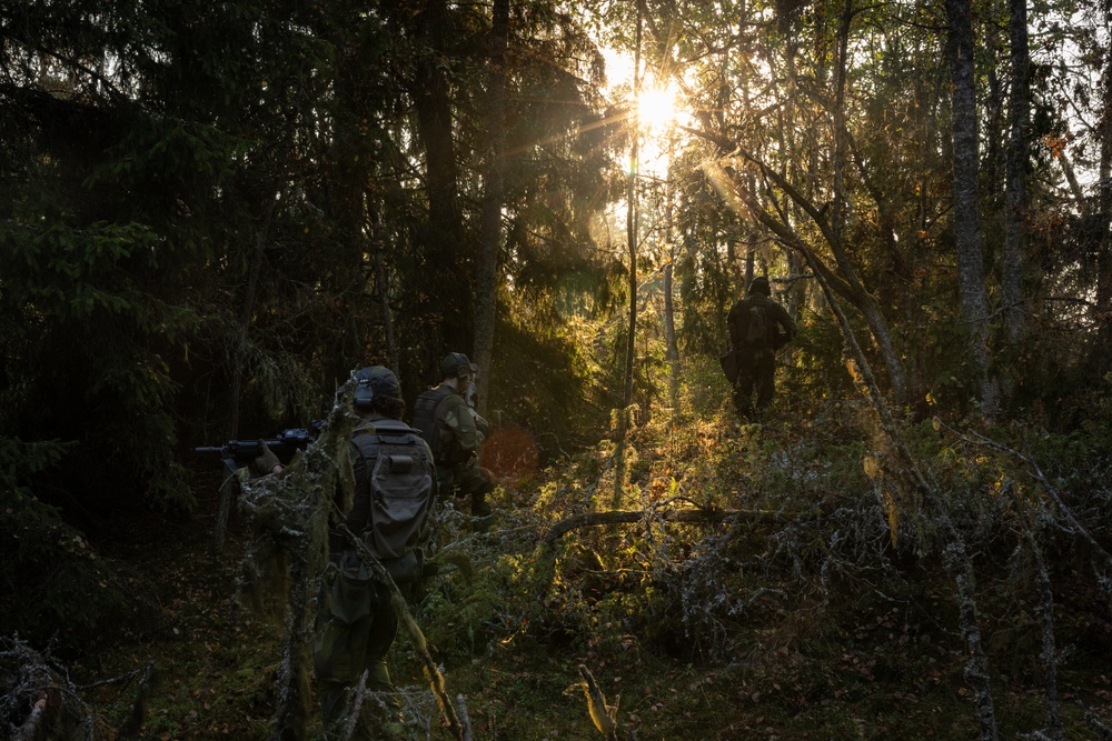 U.S. and Swedish Marines conduct culminating event during Archipelago Endeavor 24