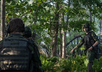 U.S. and Swedish Marines conduct culminating event during Archipelago Endeavor 24