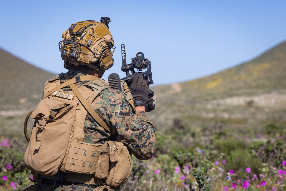 2nd Battalion., 7th Marine Regiment conducts squad attacks during Exercise UNITAS 2024