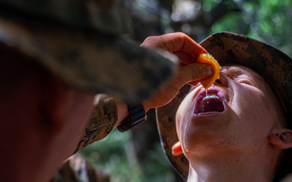 U.S. Marines learn survival techniques in harsh Brazilian climate