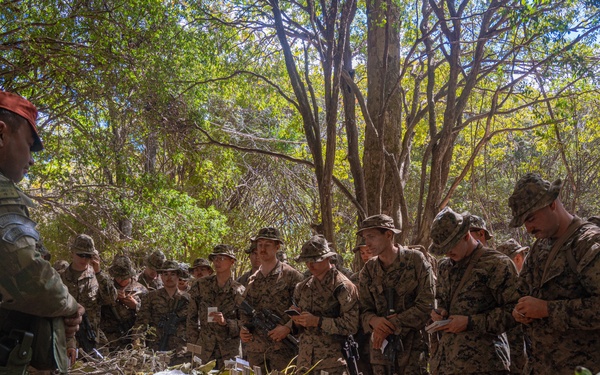 U.S. Marines learn survival techniques in harsh Brazilian climate