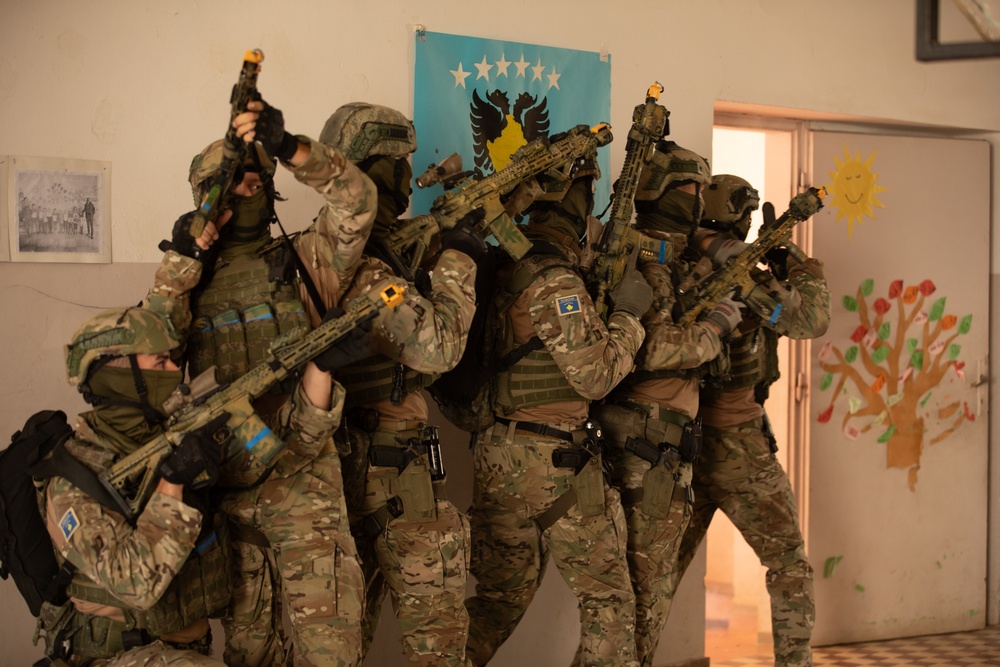 Kosovo Multi-National Training