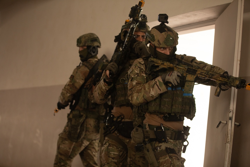 Kosovo Multi-National Training