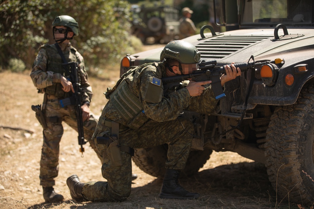 Kosovo Multi-National Training