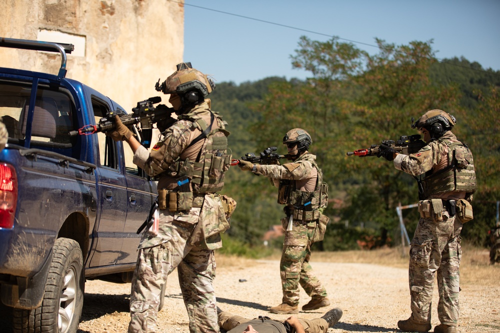 Kosovo Multi-National Training