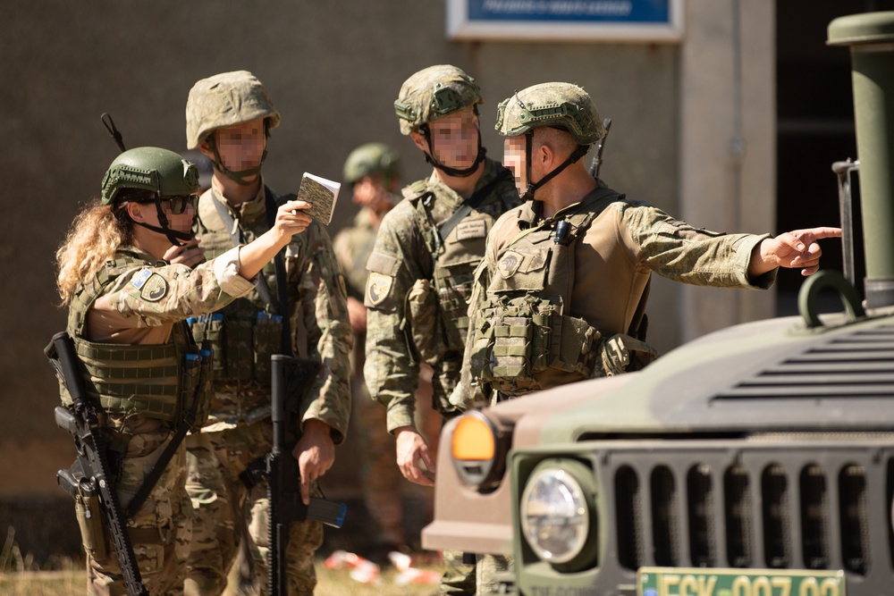 Kosovo Multi-National Training