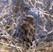 U.S. Marine Corps Mountain Warfare Instructors conduct long-range movement with Argentine marines