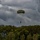 Operation Market Garden 80th Anniversary: Round Canopy Parachuting Team Jump Operation Market Garden 80th Anniversary: Round Canopy Parachuting Team Jump