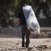 WSP ARG-24th MEU (SOC) Participate in Beach Cleanup in Chania, Greece