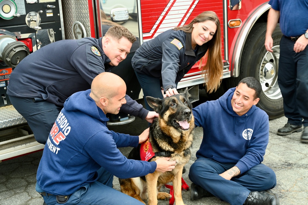 Firefighters at the Presidio of Monterey find support in therapy dog visit