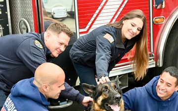 Firefighters at the Presidio of Monterey find support in therapy dog visit