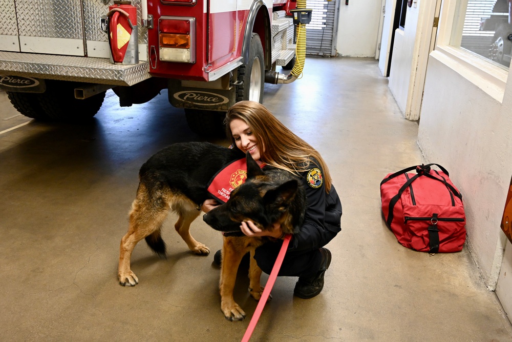 Firefighters at the Presidio of Monterey find support in therapy dog visit