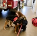 Firefighters at the Presidio of Monterey find support in therapy dog visit