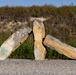 A trip through geological time: Wilson Lake’s unique topography makes it a must-see destination