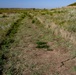 A trip through geological time: Wilson Lake’s unique topography makes it a must-see destination