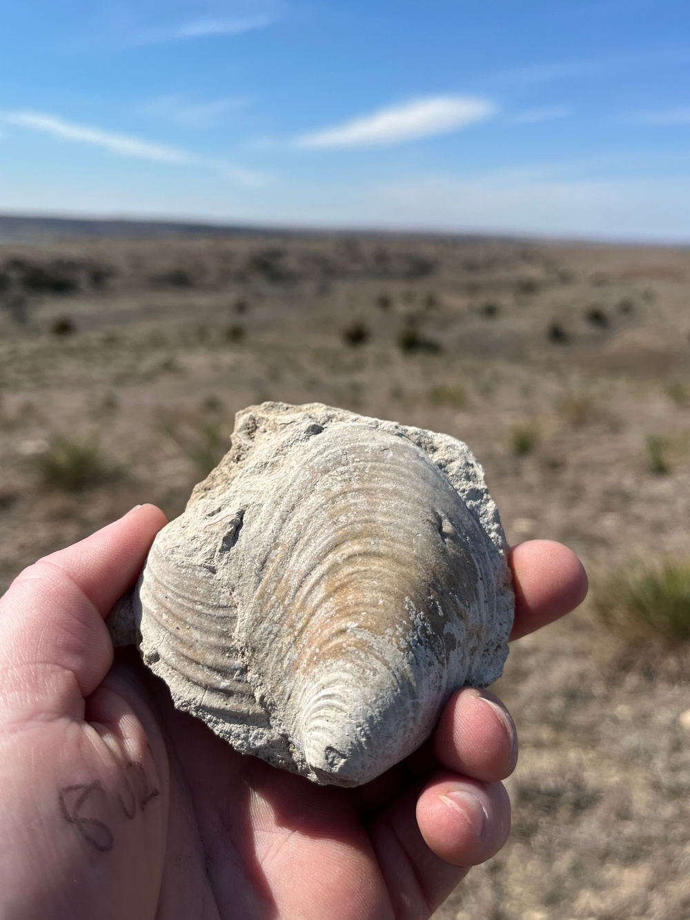 A trip through geological time: Wilson Lake’s unique topography makes it a must-see destination