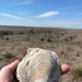 A trip through geological time: Wilson Lake’s unique topography makes it a must-see destination