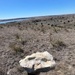 A trip through geological time: Wilson Lake’s unique topography makes it a must-see destination