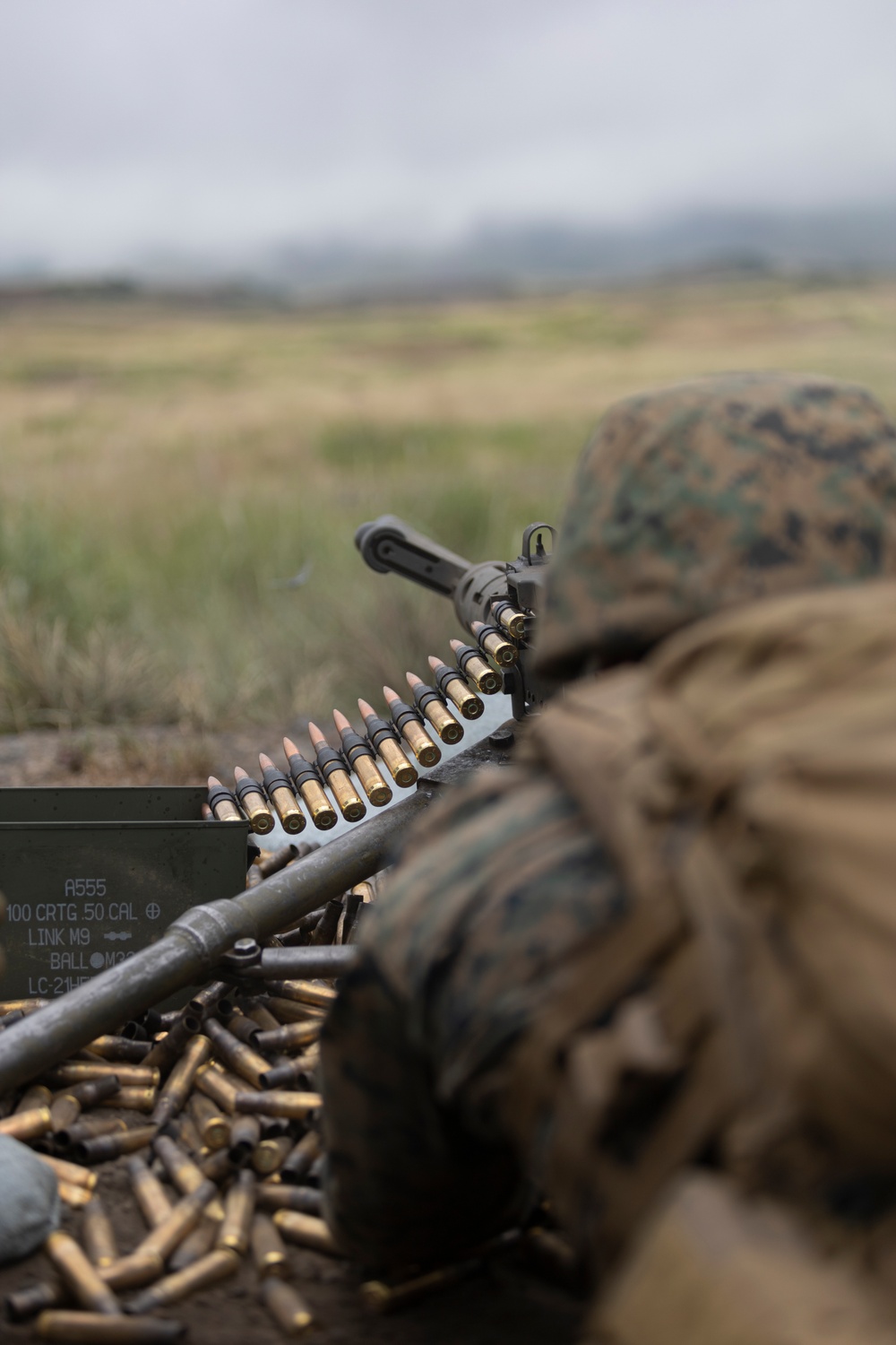 Marines conduct machine gun range at Camp Fuji in support of Exercise Outlaw Wrath 24