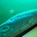 Lamprey numbers less than 2024