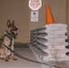 K9 Detection Training