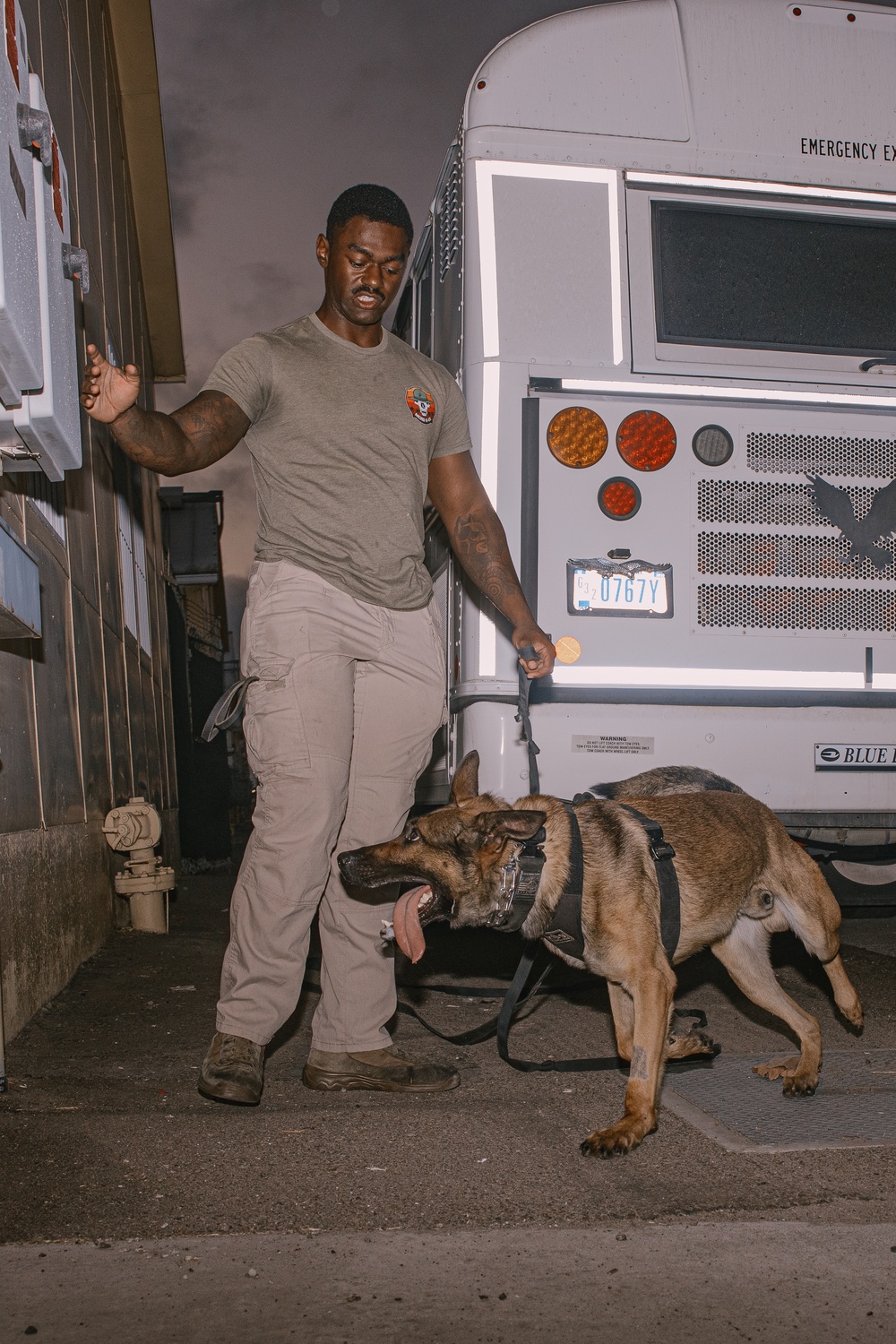 K9 Detection Training