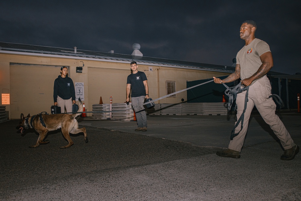 K9 Detection Training