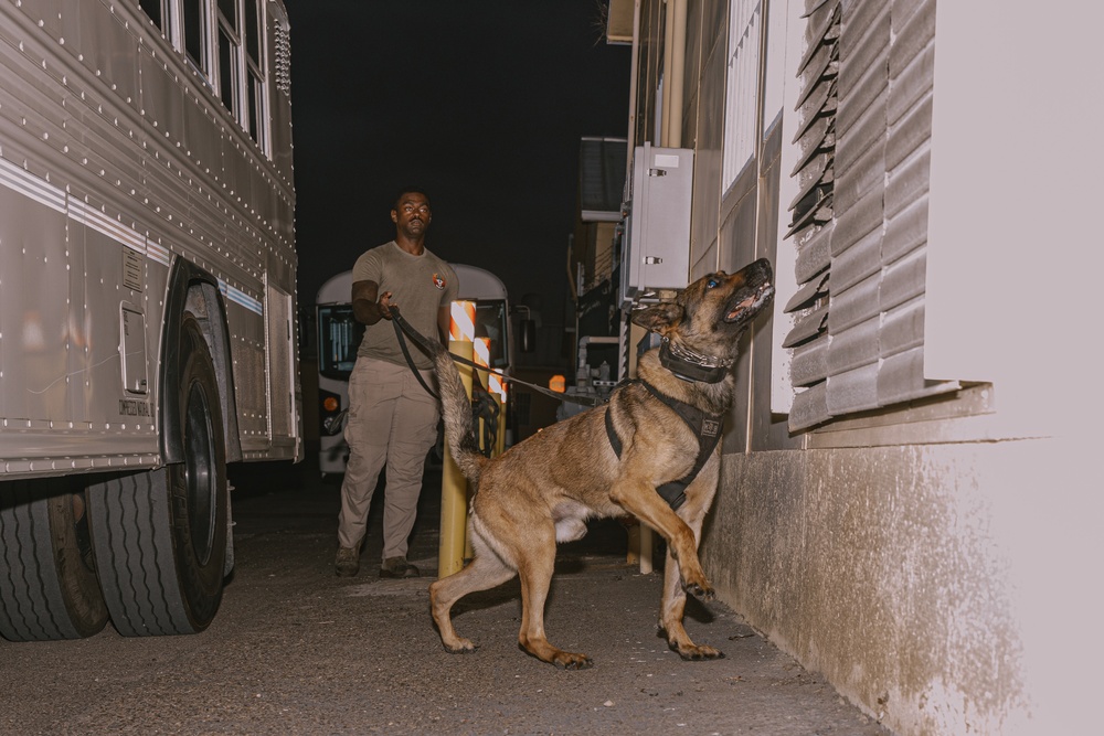 K9 Detection Training