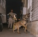 K9 Detection Training