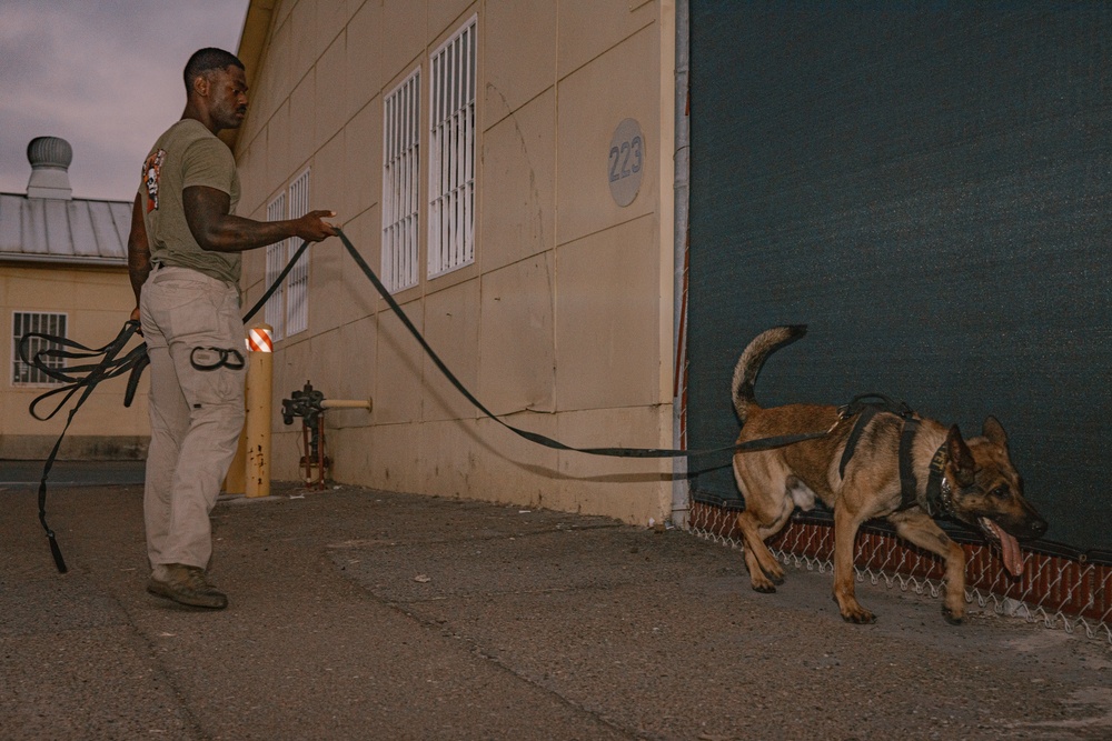 K9 Detection Training