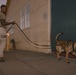 K9 Detection Training