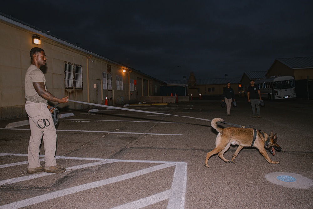 K9 Detection Training