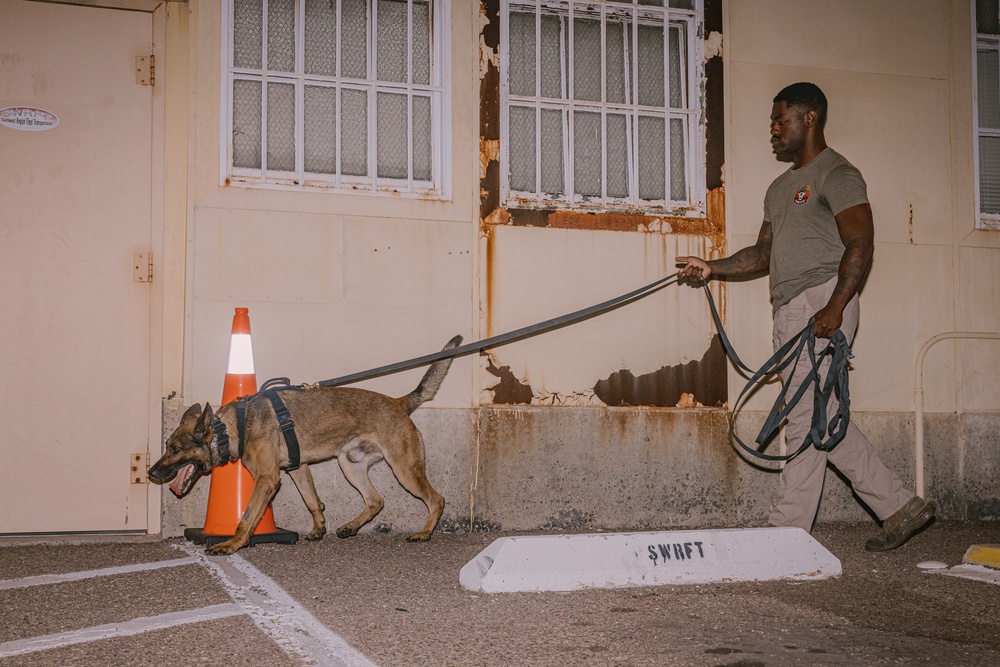 K9 Detection Training