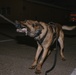 K9 Detection Training