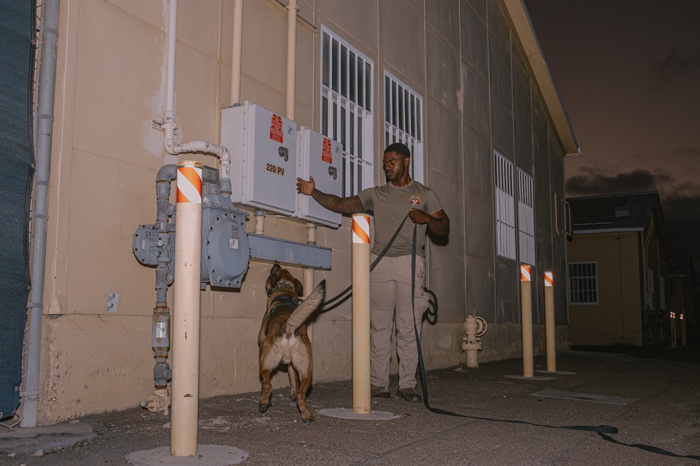 K9 Detection Training