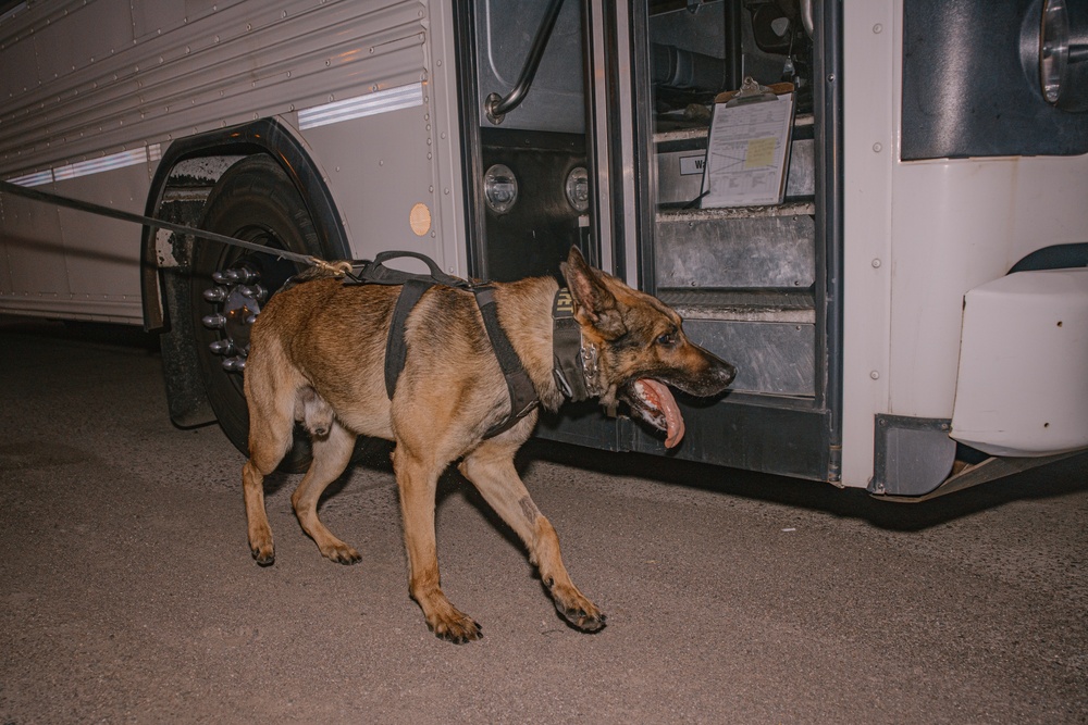 K9 Detection Training