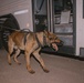 K9 Detection Training