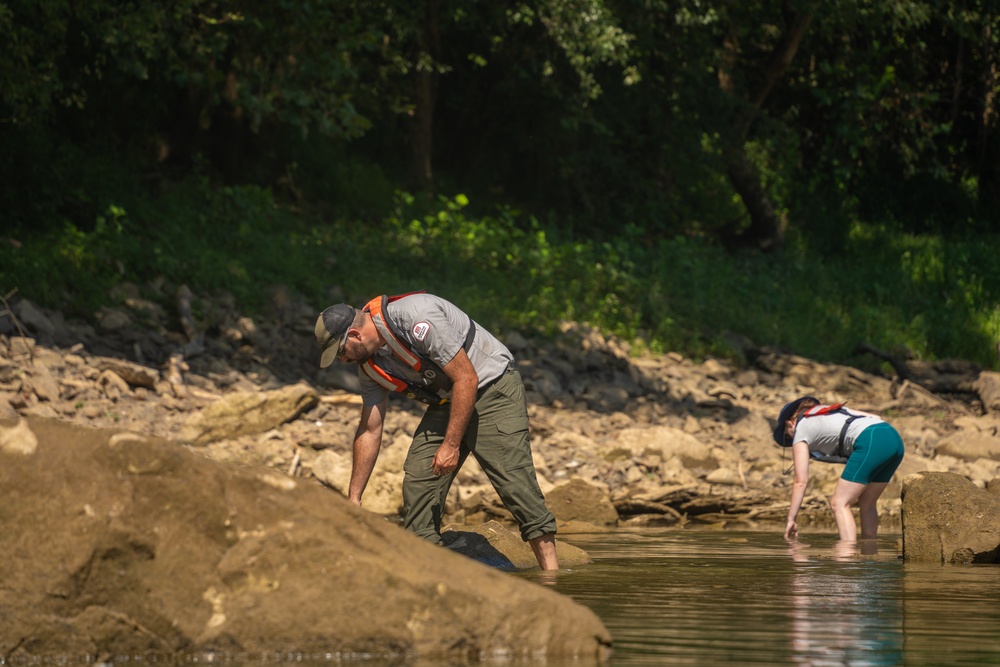 Employees from the U.S. Army Corps of Engineers Louisville District help to relocate mussels at Green River near Brownsville, KY, Sep. 6, 2024