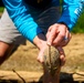 Employees from the U.S. Army Corps of Engineers Louisville District help to relocate mussels at Green River near Brownsville, KY, Sep. 6, 2024
