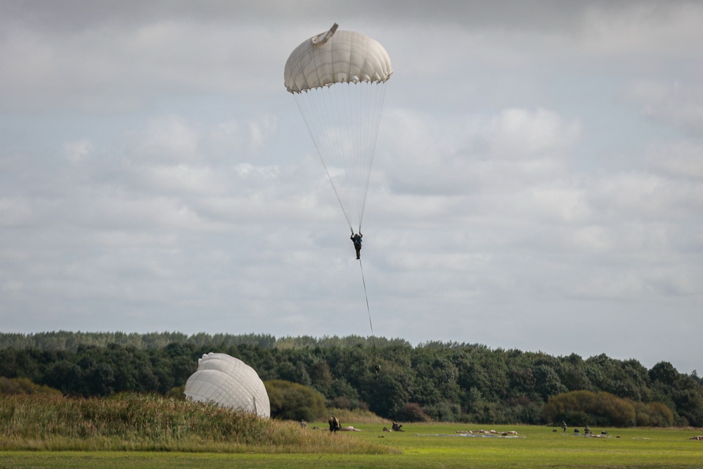 Falcon Leap 24