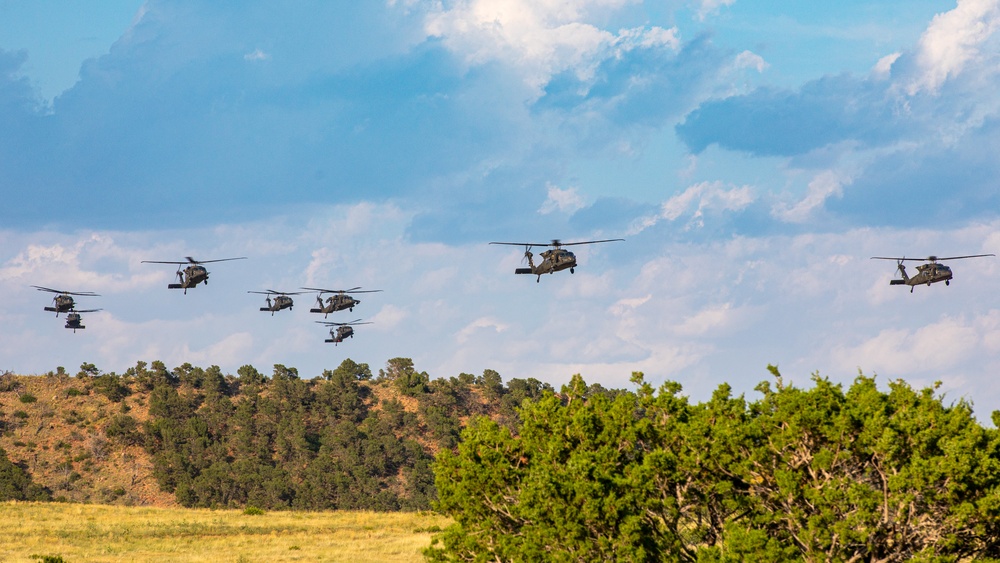 3rd Assault Helicopter Battalion, 4th Aviation Regiment, 4th Combat Aviation Brigade conduct 16 UH-60 Blackhawks in aerial movement