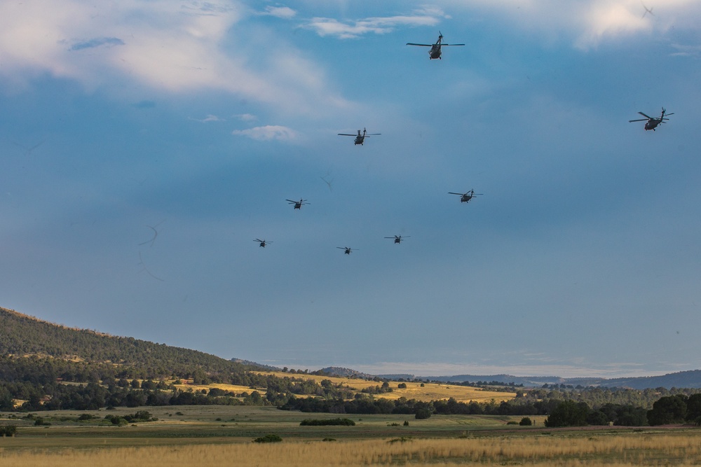 3rd Assault Helicopter Battalion, 4th Aviation Regiment, 4th Combat Aviation Brigade conduct 16 UH-60 Blackhawks in aerial movement