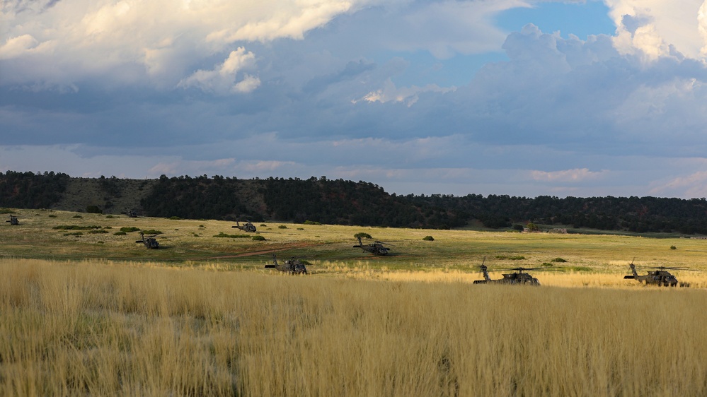 3rd Assault Helicopter Battalion, 4th Aviation Regiment, 4th Combat Aviation Brigade conduct 16 UH-60 Blackhawks in aerial movement