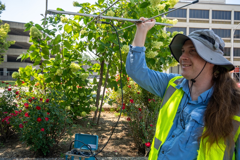 Louisville District biologists’ bat survey paves way for new Army Reserve Center