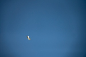 AFN Naples Regional News - Hawgsmoke 2024 and AUKUS