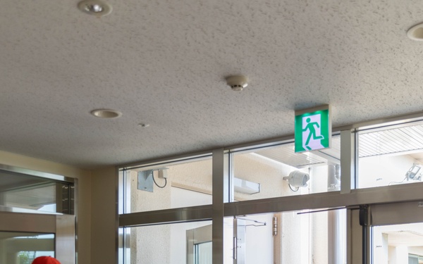 Cultural Exchange: Local students plant SEEDs of friendship