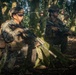 Pacific Marines in Tahiti: Jungle Warfare